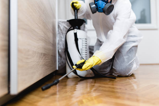 Best Flea Control Services  in Bodega Bay, CA
