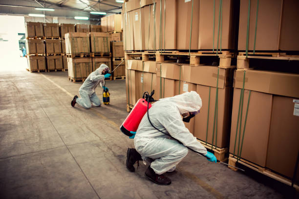Best Emergency Pest Control  in Bodega Bay, CA