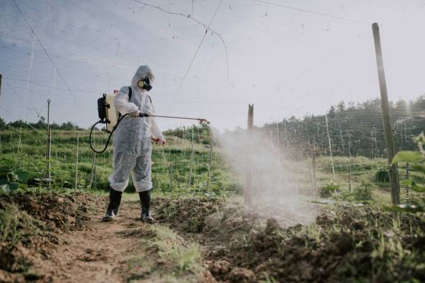 Professional Pest Control in Bodega Bay, CA